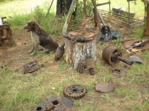 cane-mill-09-2012-1157