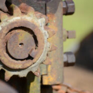 Cane-Mill-08-2014-1524