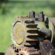 Cane-Mill-08-2014-1526