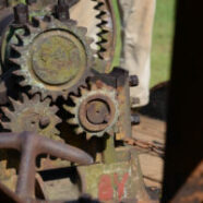 Cane-Mill-08-2014-1539