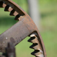 Cane-Mill-08-2014-1543