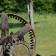 Cane-Mill-08-2014-1544