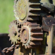 Cane-Mill-08-2014-1546