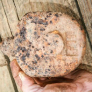 Trying to Identify this Cane Mill